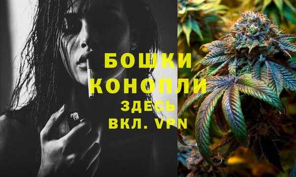индика Беломорск