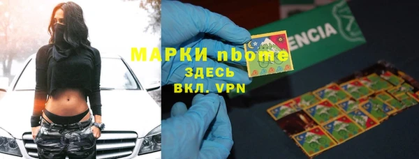 трава Белокуриха