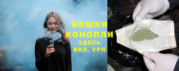 трава Белокуриха