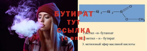 индика Беломорск