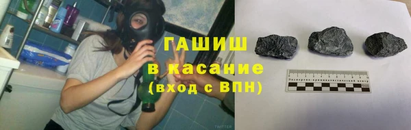 индика Беломорск