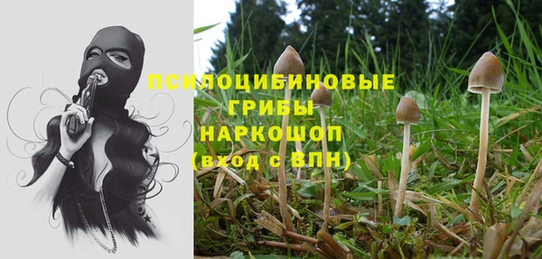 трава Белокуриха