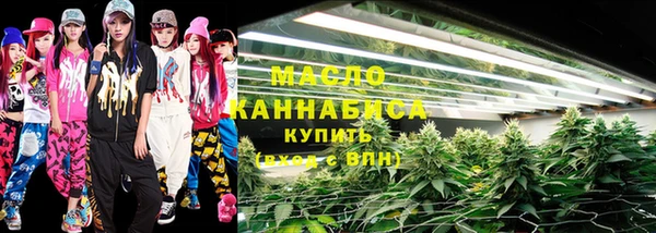 индика Беломорск