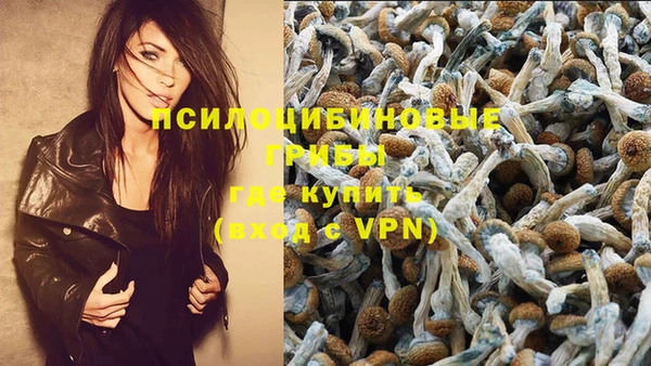 трава Белокуриха