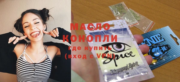 индика Беломорск