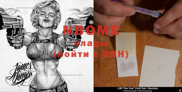 индика Беломорск