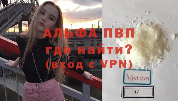 индика Беломорск