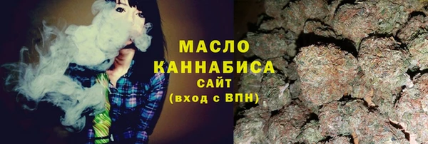 индика Беломорск