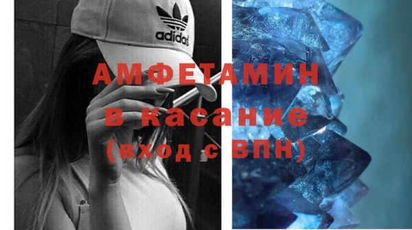 индика Беломорск