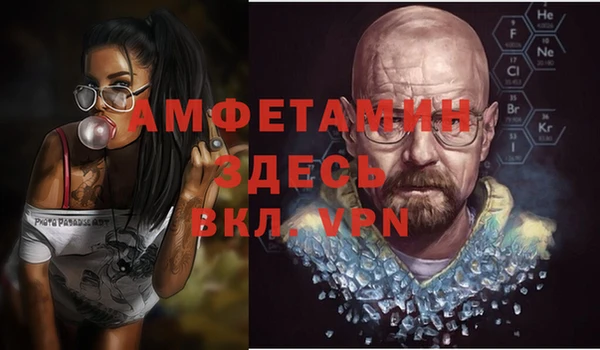 индика Беломорск