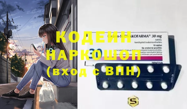 индика Беломорск
