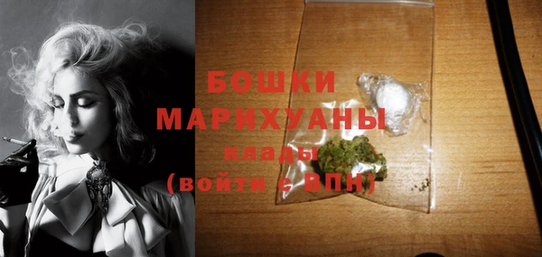 индика Беломорск