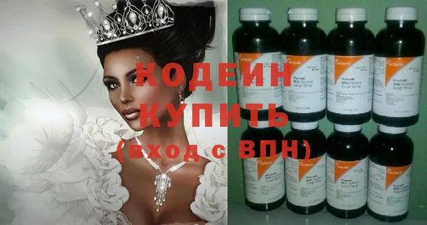 индика Беломорск