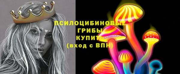 трава Белокуриха